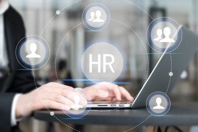 人力資源管理全攻略 從策略到實踐，打造高效能組織